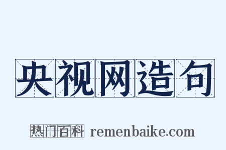 央视网造句是什么意思的图片